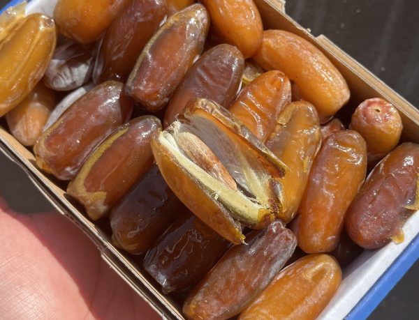 Kurma Frozen Libya 1 Pack - 500g