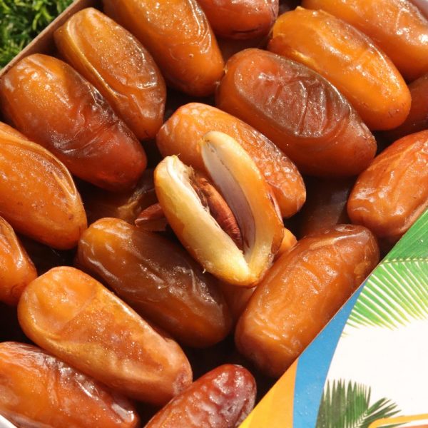 KURMA LIBYA/ALGERIA SYABAB 2024 - Image 5