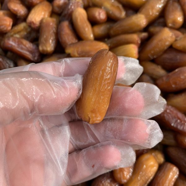 KURMA LIBYA/ALGERIA SYABAB 2024 - Image 6