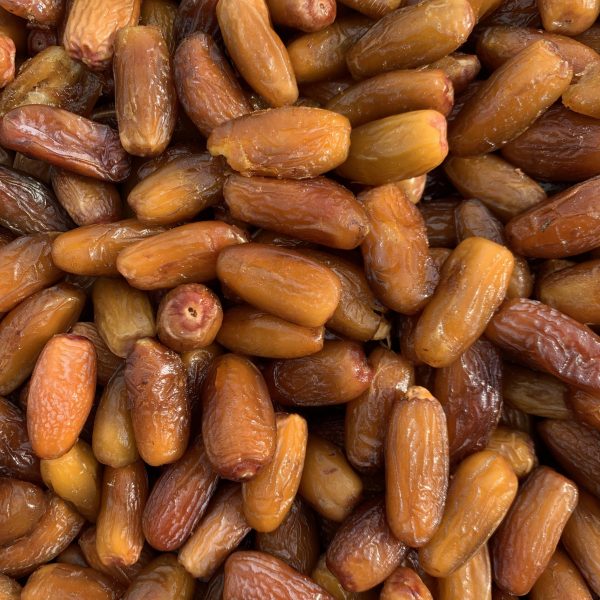 KURMA LIBYA/ALGERIA SYABAB 2024 - Image 7