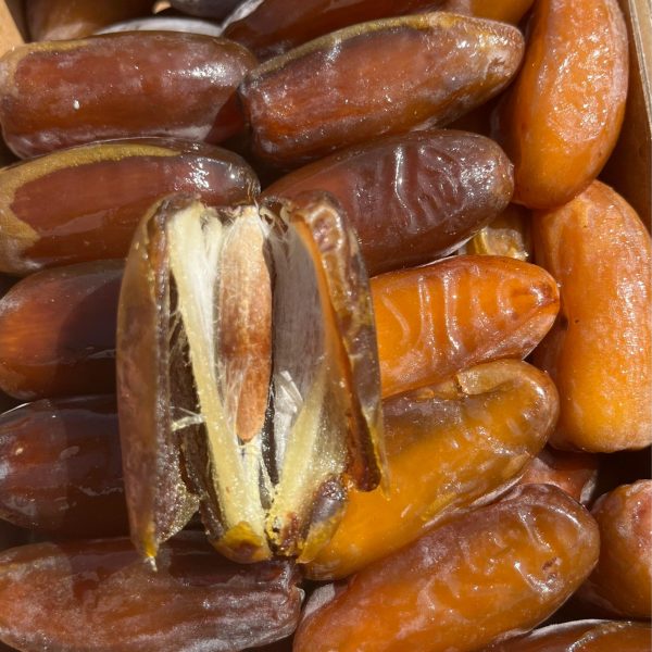 KURMA LIBYA/ALGERIA SYABAB 2024