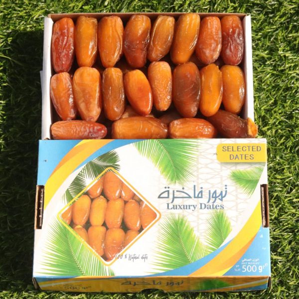 KURMA LIBYA/ALGERIA SYABAB 2024 - Image 4
