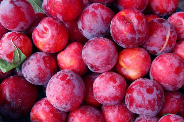 Ebony Treat Plums Australia (500G)