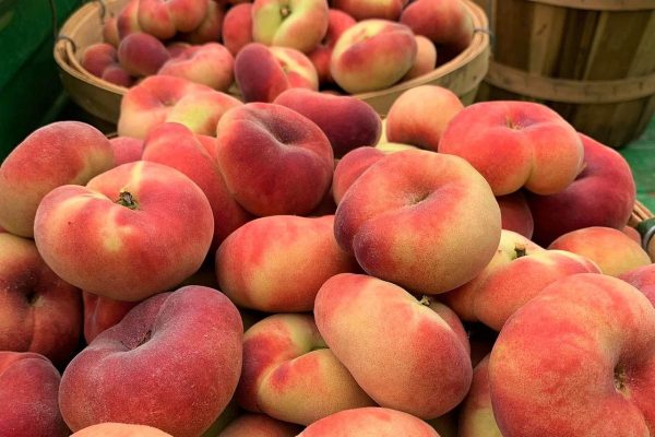 Donut Peach Spain (500G)