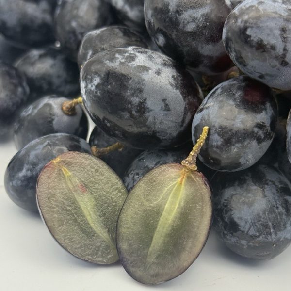 Anggur Royal Black Chille